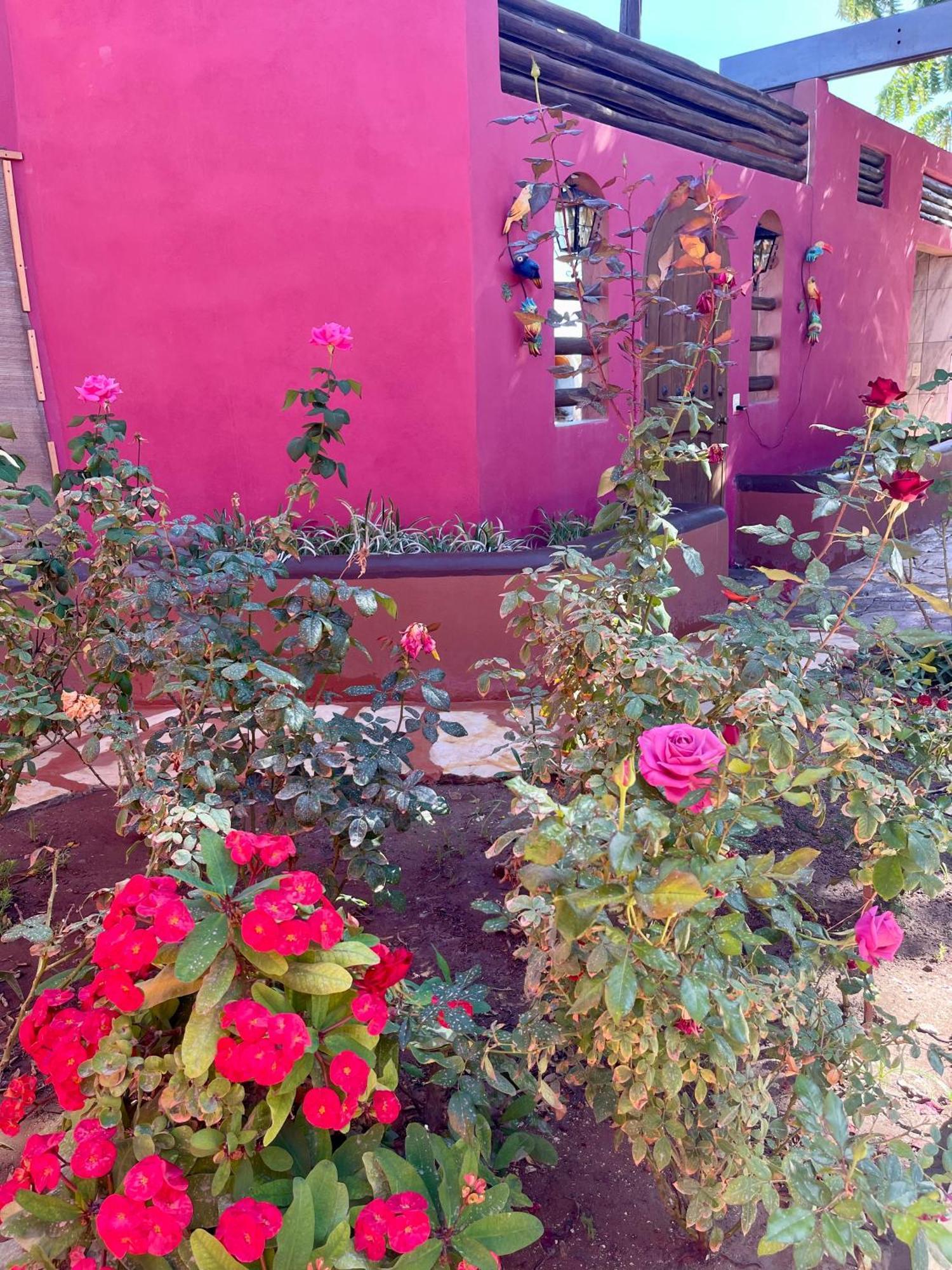 Casa El Pescador Villa Mulege Luaran gambar